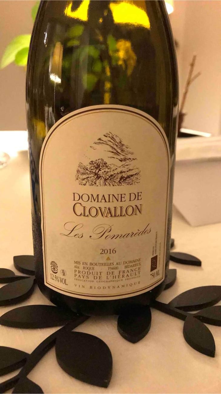 Les Pomarèdes - Domaine de Clovallon - Alix Roque 