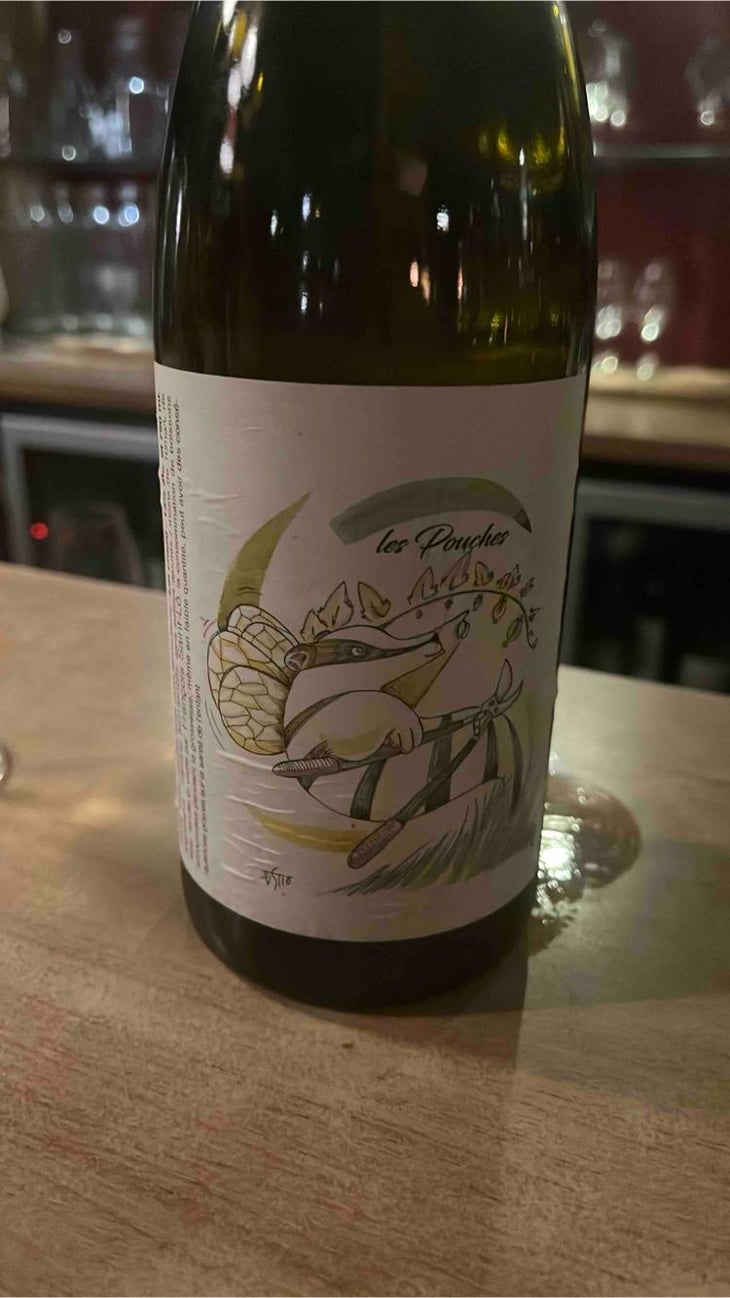 Les Pouches Macération (2020 label) - François Saint-Lô - François Saint-Lô 