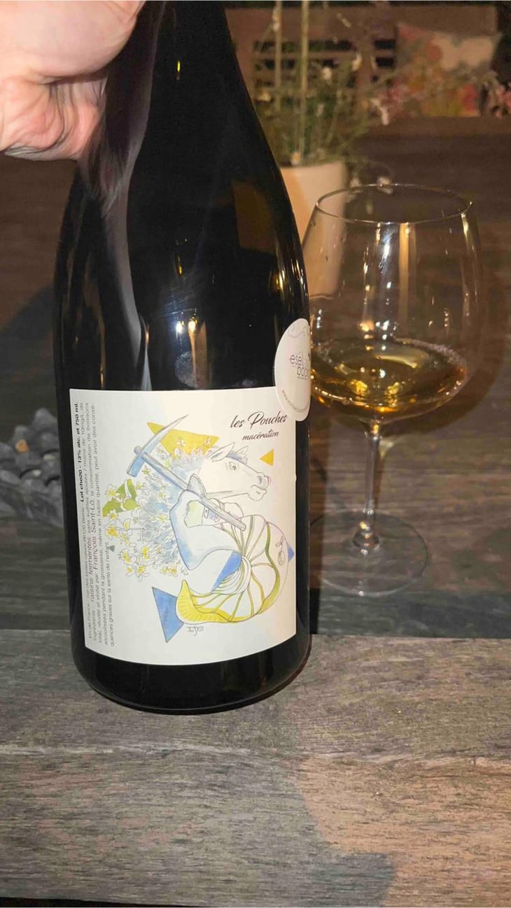 Les Pouches Macération (2020 label) - François Saint-Lô - François Saint-Lô 