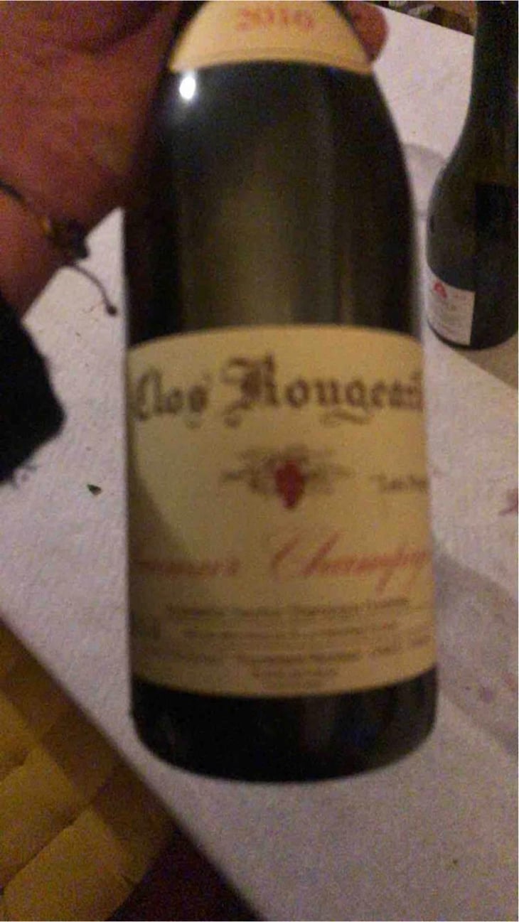 Les Poyeux - Clos Rougeard - Jean-Louis "Charly" & Bernard "Nady" Foucault 