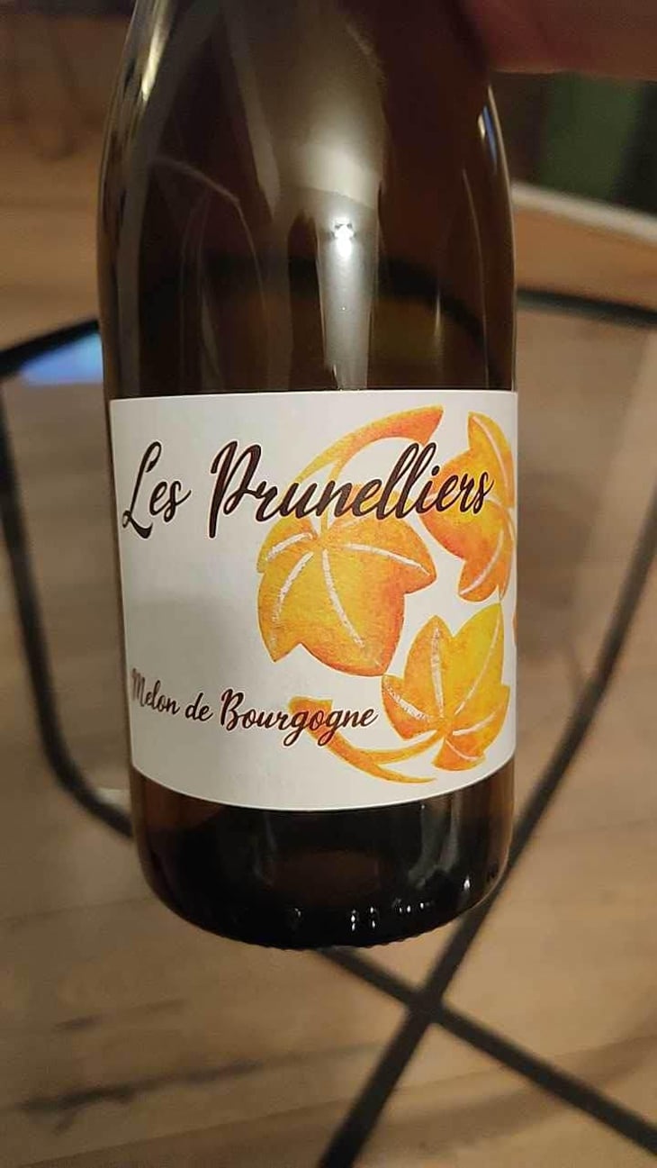 les prunelliers - Les Vins Jardinés - Yoann Gillot 