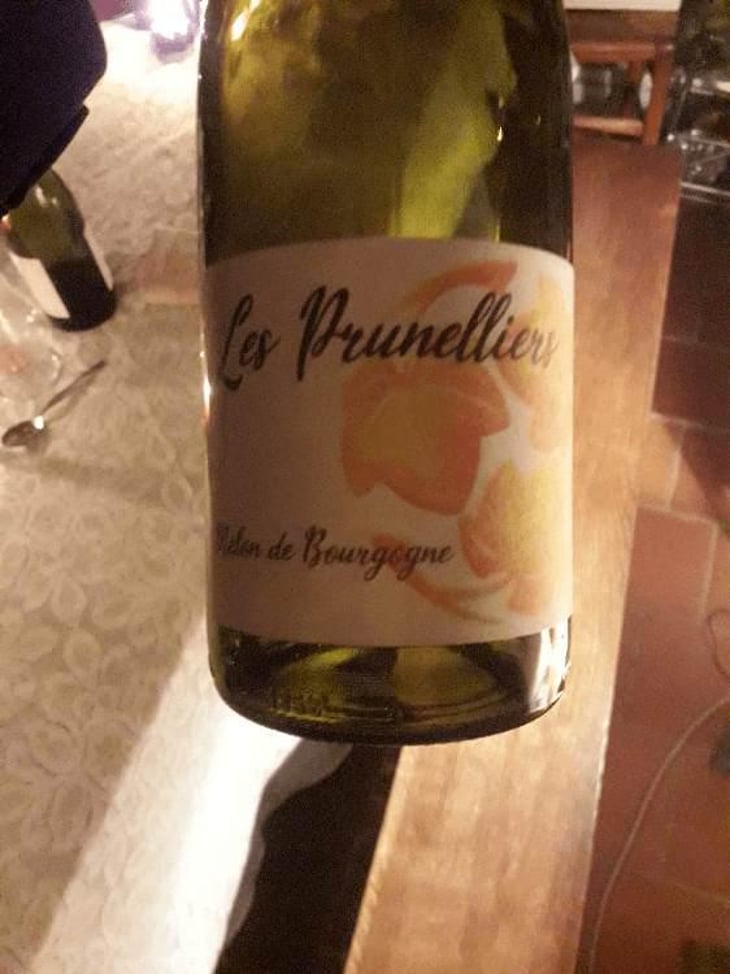 les prunelliers - Les Vins Jardinés - Yoann Gillot 