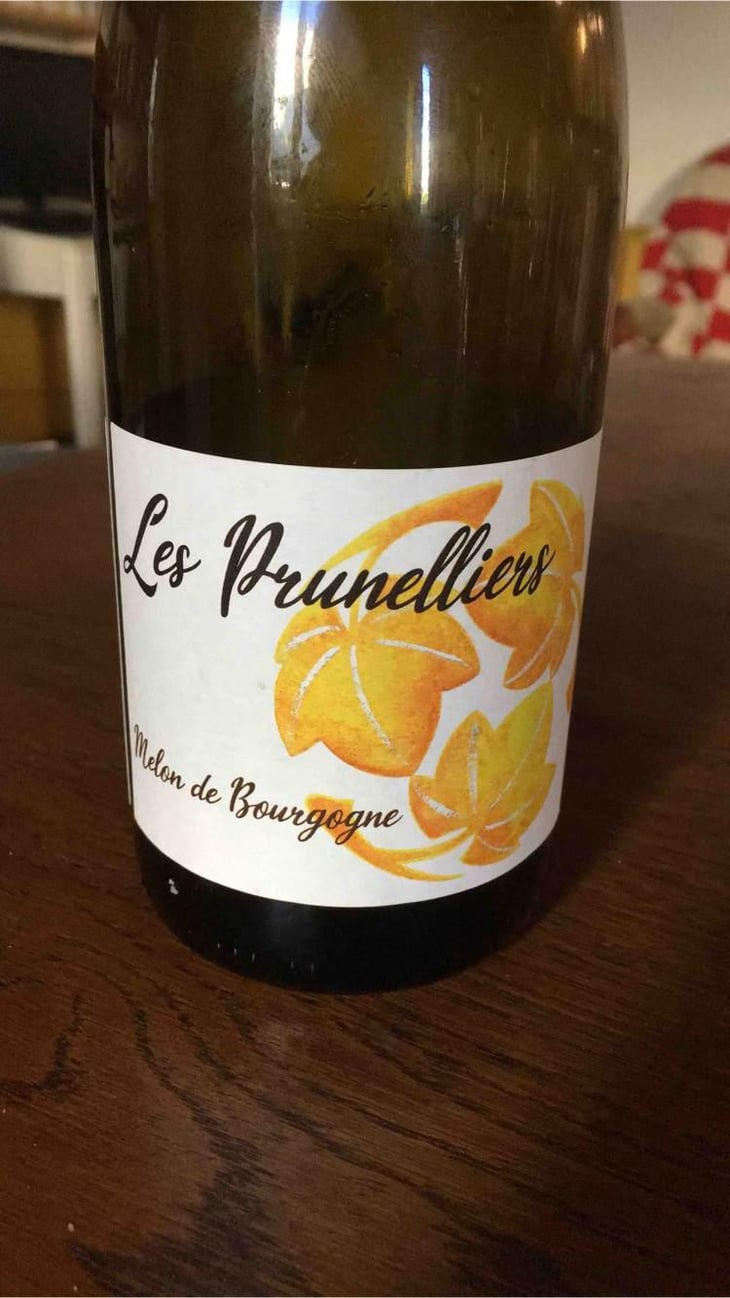 les prunelliers - Les Vins Jardinés - Yoann Gillot 
