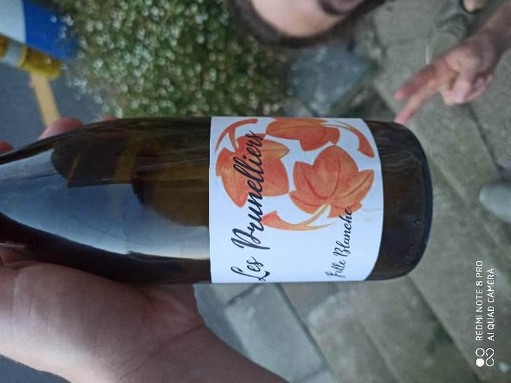les prunelliers - Les Vins Jardinés - Yoann Gillot 