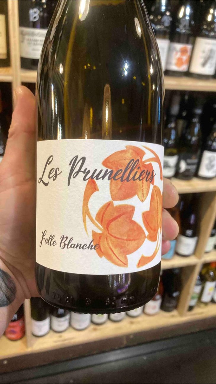les prunelliers - Les Vins Jardinés - Yoann Gillot 
