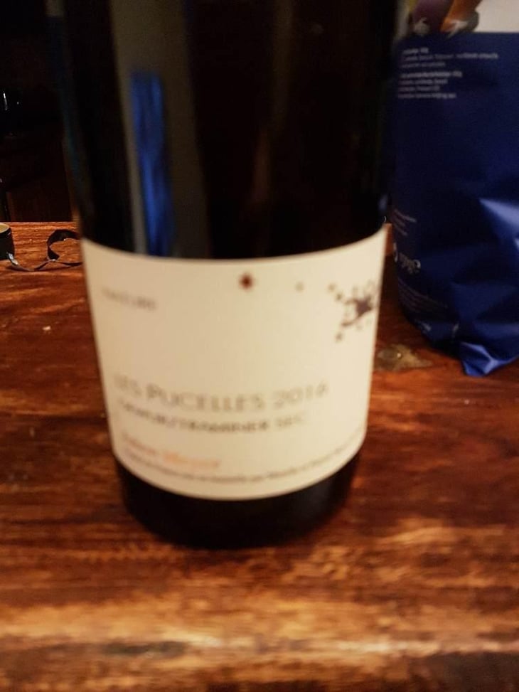 Les Pucelles - Gewürztraminer Sec - Domaine Julien Meyer - Patrick Meyer 
