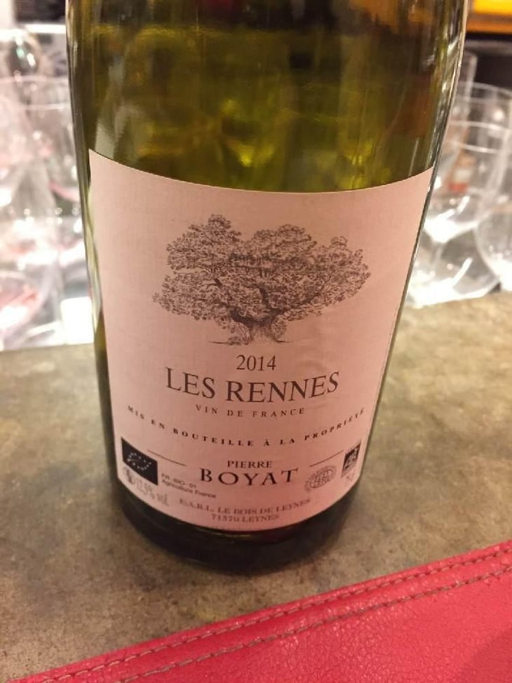 Les Rennes - Pierre Boyat - Pierre Boyat 