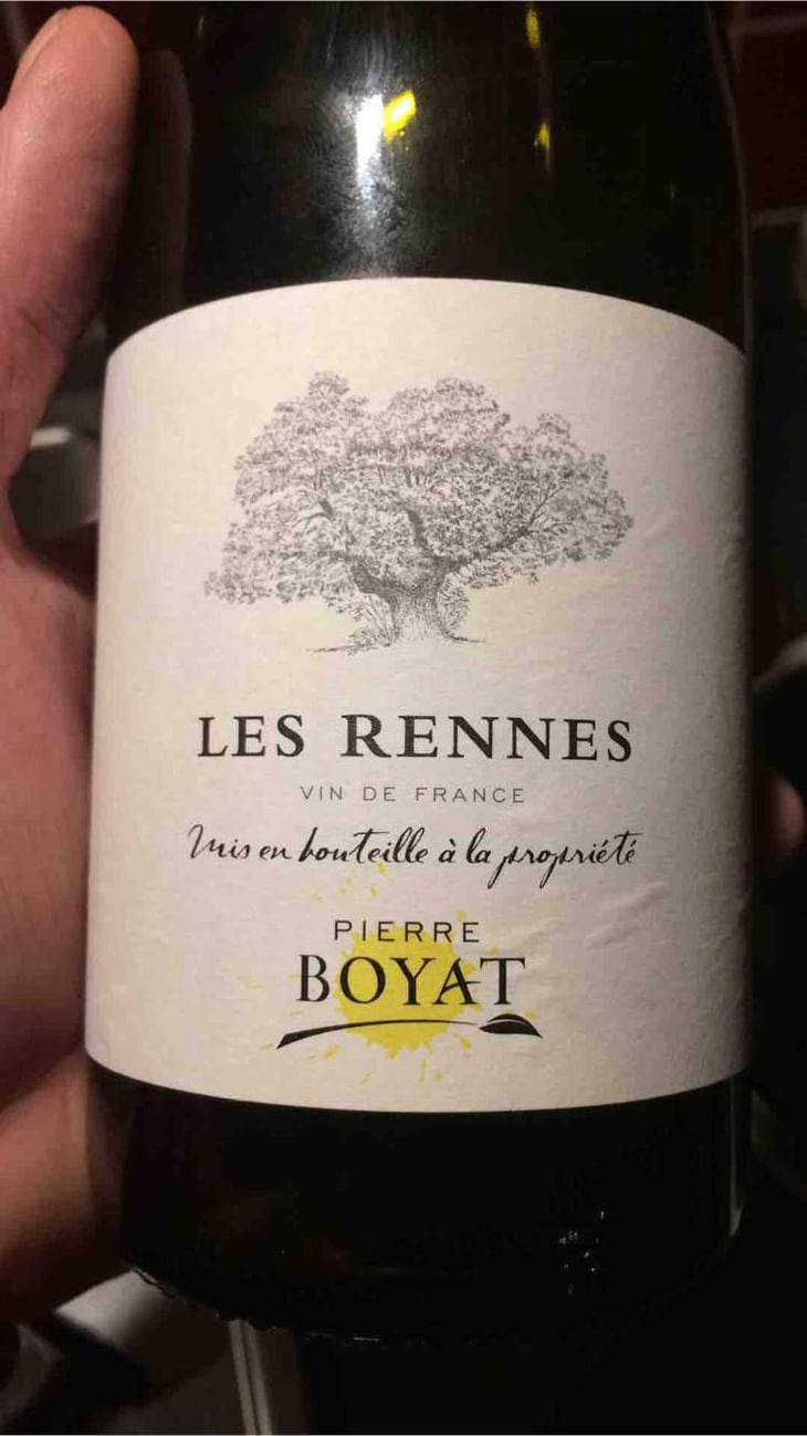 Les Rennes - Pierre Boyat - Pierre Boyat 