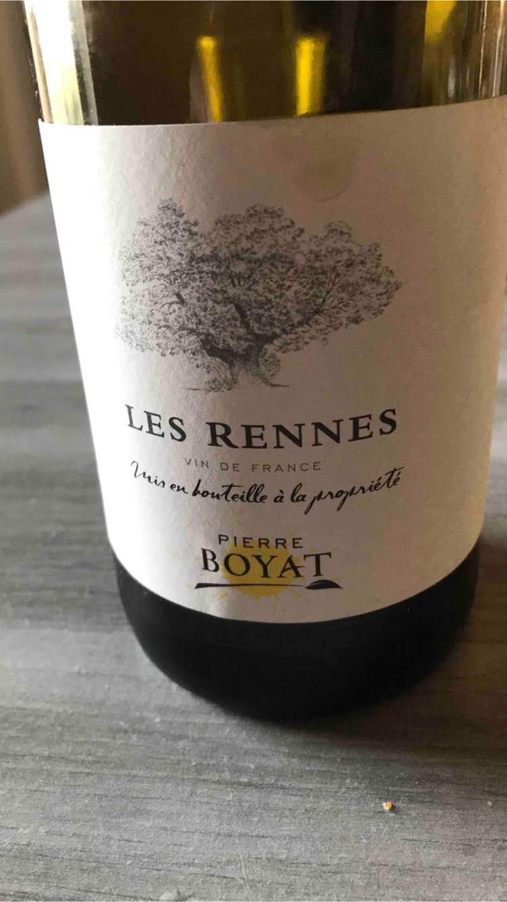 Les Rennes - Pierre Boyat - Pierre Boyat 