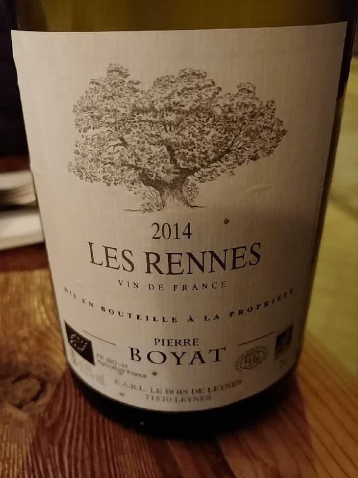 Les Rennes - Pierre Boyat - Pierre Boyat 