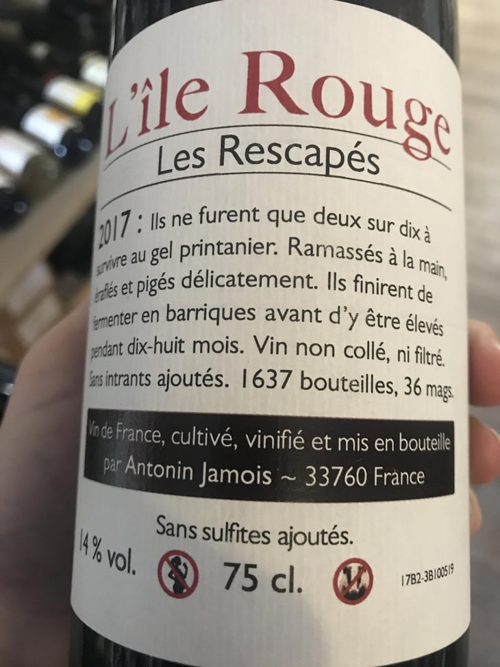 Les Rescapés - L'île Rouge - Antonin Jamois 