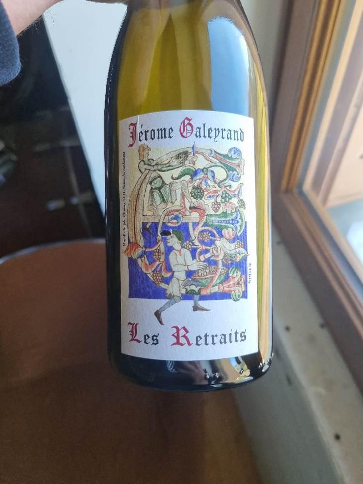 Les Retraits - Jerome Galeyrand - Jérôme Galeyrand -2020