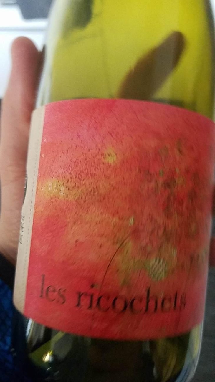 Les Ricochets - Domaine des 4 Pierres - Édouard Fortin 