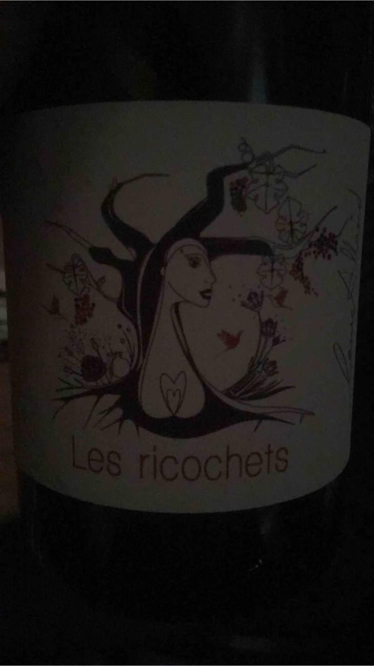Les Ricochets - Domaine des 4 Pierres - Édouard Fortin 