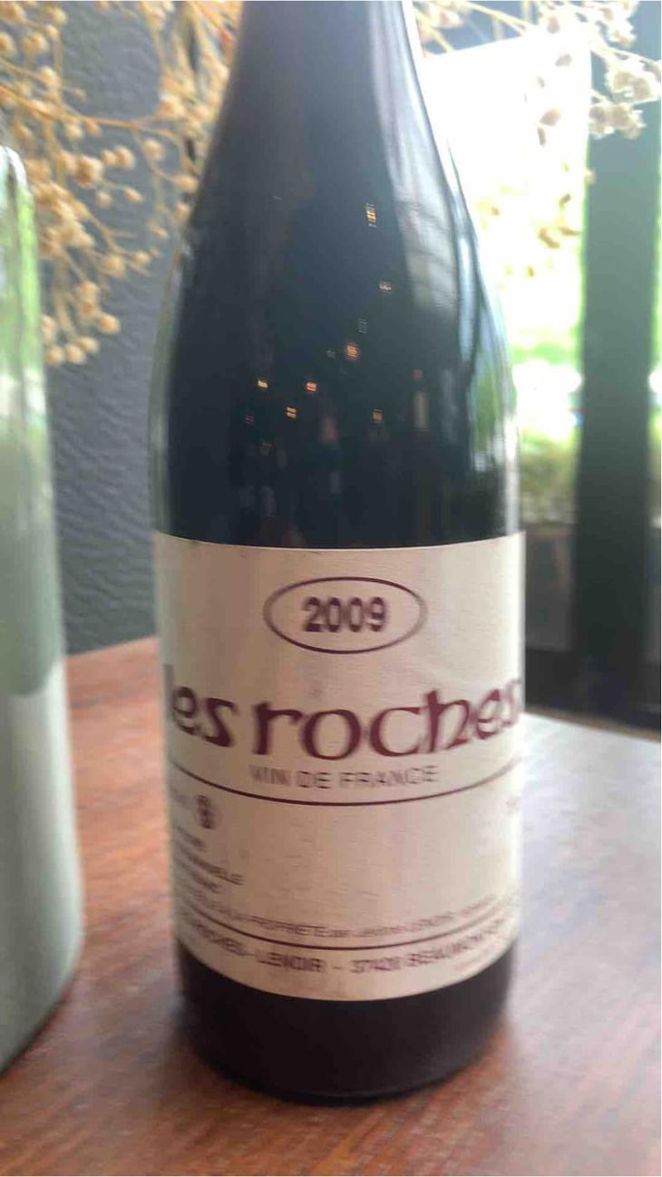 Chinon Les Roches - Domaine Les Roches - Alain & Jérôme Lenoir 