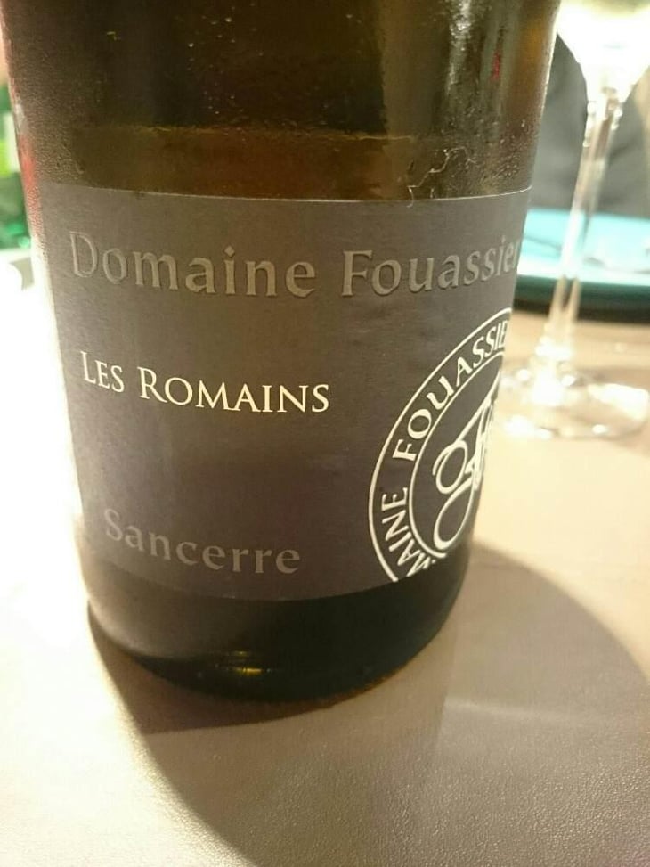 Les Romains - Domaine Fouassier - Benoit & Paul Fouassier 