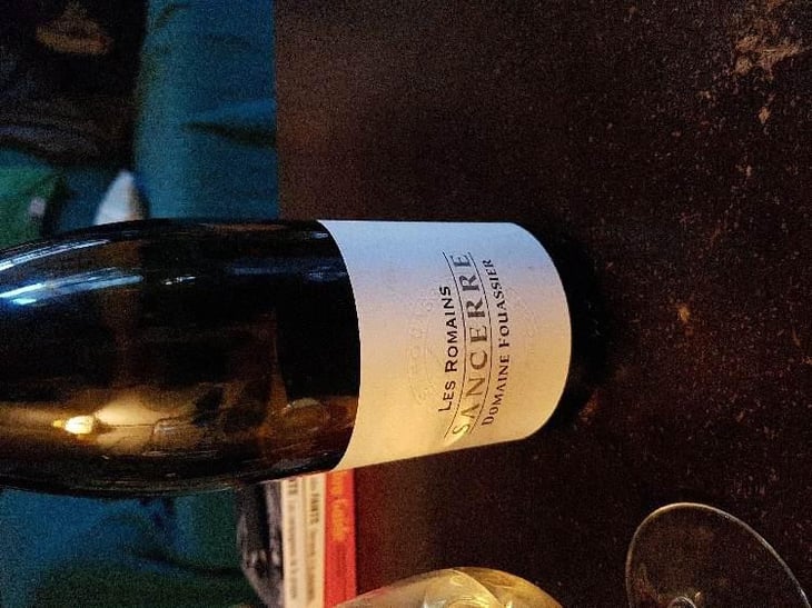 Les Romains - Domaine Fouassier - Benoit & Paul Fouassier 