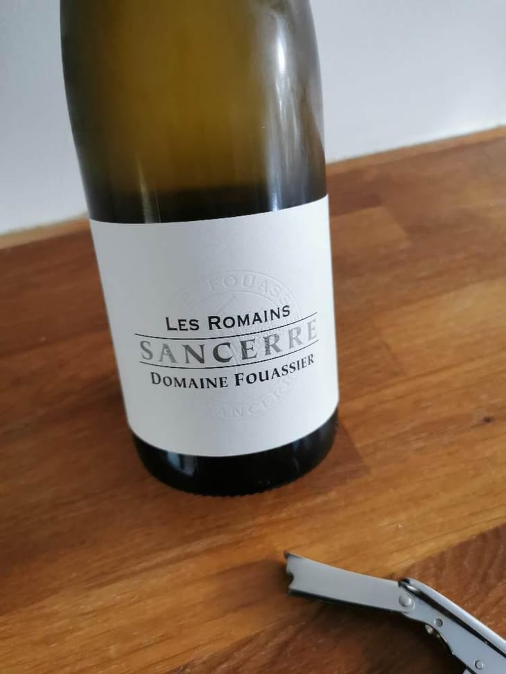 Les Romains - Domaine Fouassier - Benoit & Paul Fouassier 