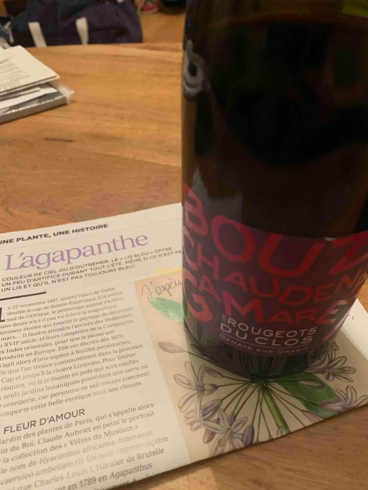 Les Rougeots Du Clos - Vins de la Madone - Gilles Bonnefoy 