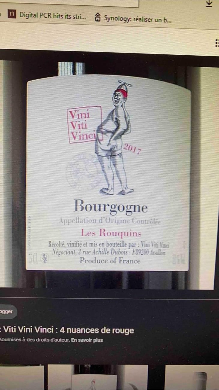 Les Rouquins - VDF - Vini Viti Vinci - Nicolas Vauthier "Kikro" 