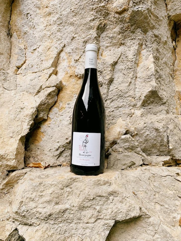 Les Rouquins - VDF - Vini Viti Vinci - Nicolas Vauthier "Kikro" 
