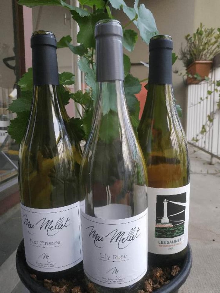 Les Salines - Mas Mellet - Emilie & Brice Bolognini 