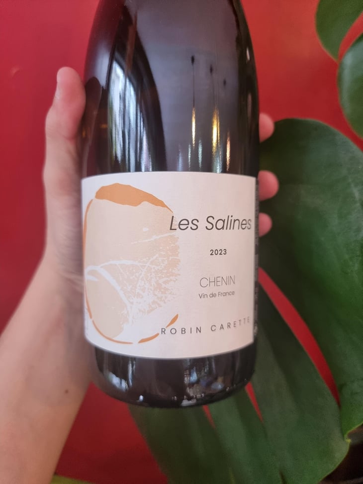 Les Salines - Robin Carette - Robin Carette 