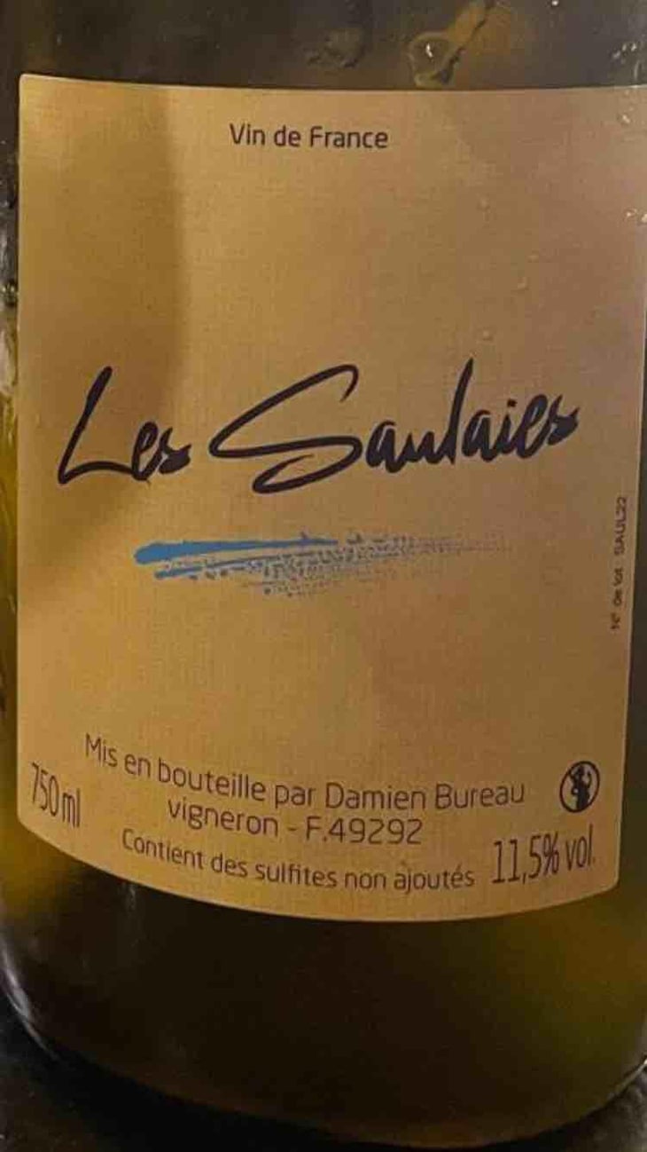 Les Saulaies - Damien Bureau - Damien Bureau -2022
