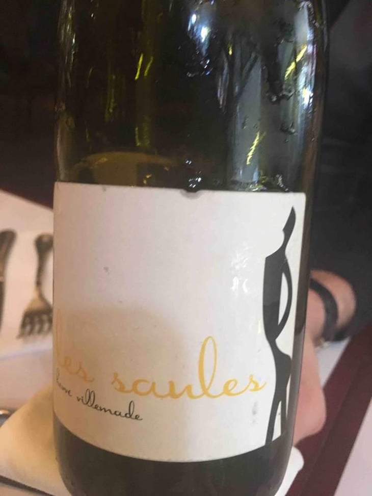 Les Saules - Hervé Villemade - Hervé Villemade 