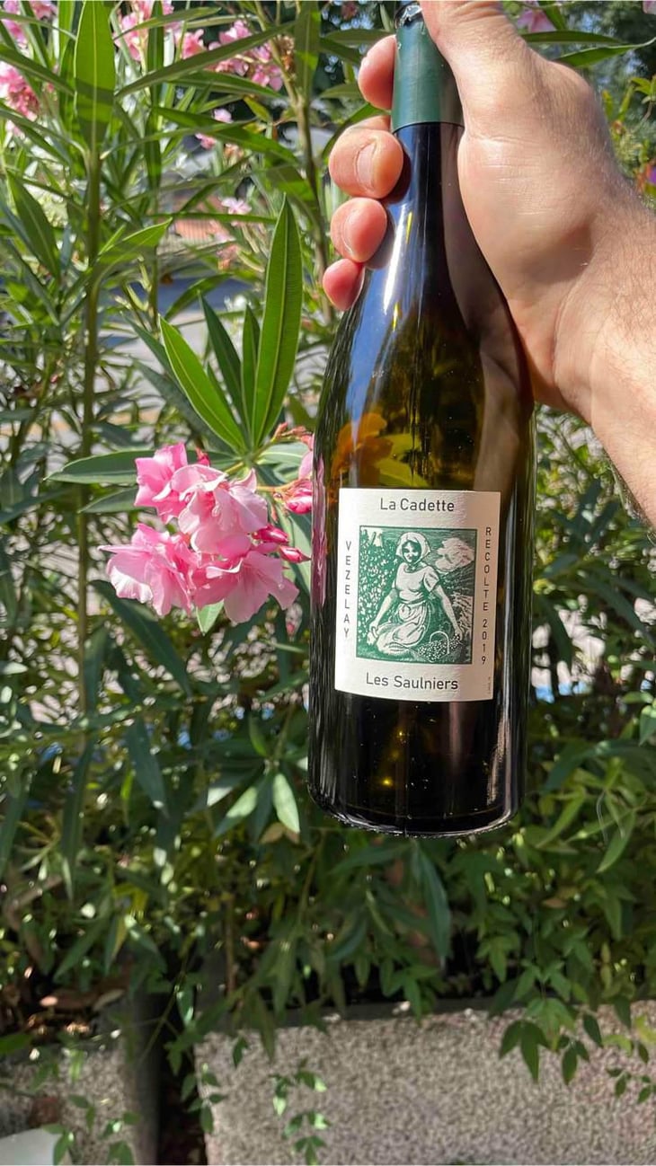Les Saulniers - Domaine de La Soeur Cadette - Jean & Valentin Montanet 