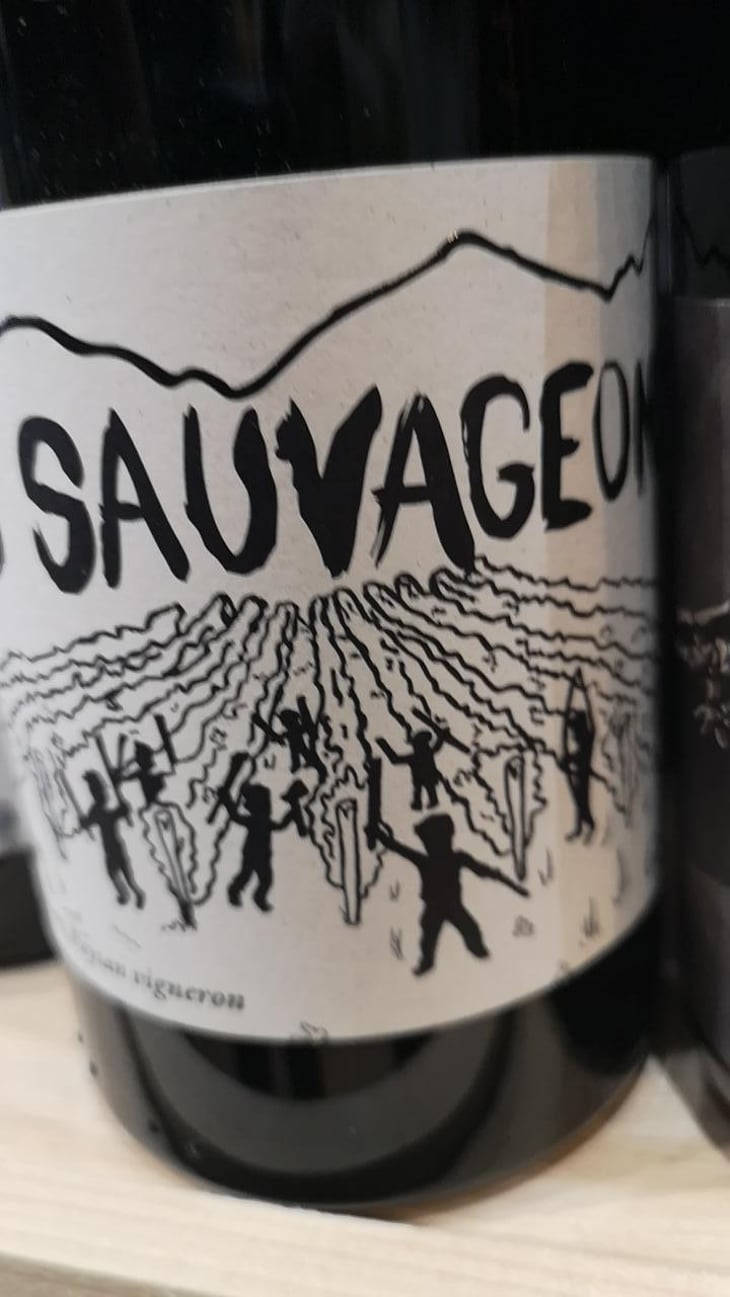 Les Sauvageons - La Vigne Sauvage - David Humbert 