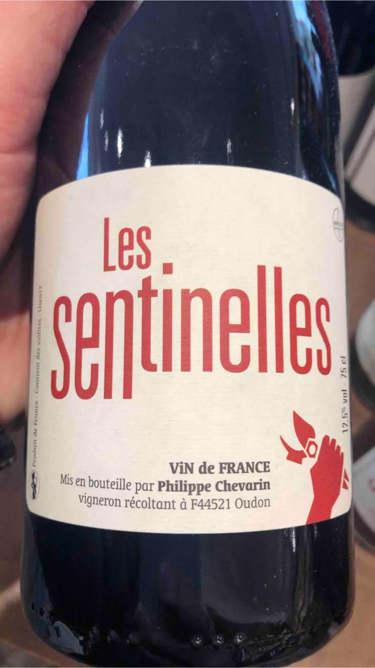 Les Sentinelles - Philippe Chevarin - Philippe Chevarin 