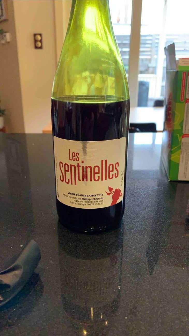 Les Sentinelles - Philippe Chevarin - Philippe Chevarin 