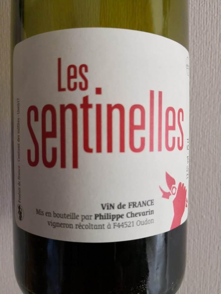 Les Sentinelles - Philippe Chevarin - Philippe Chevarin 