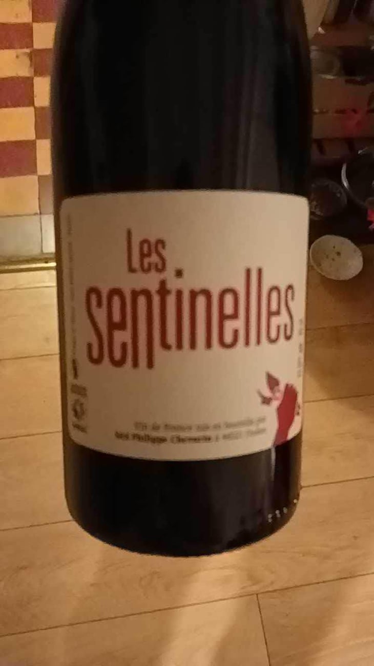 Les Sentinelles - Philippe Chevarin - Philippe Chevarin 