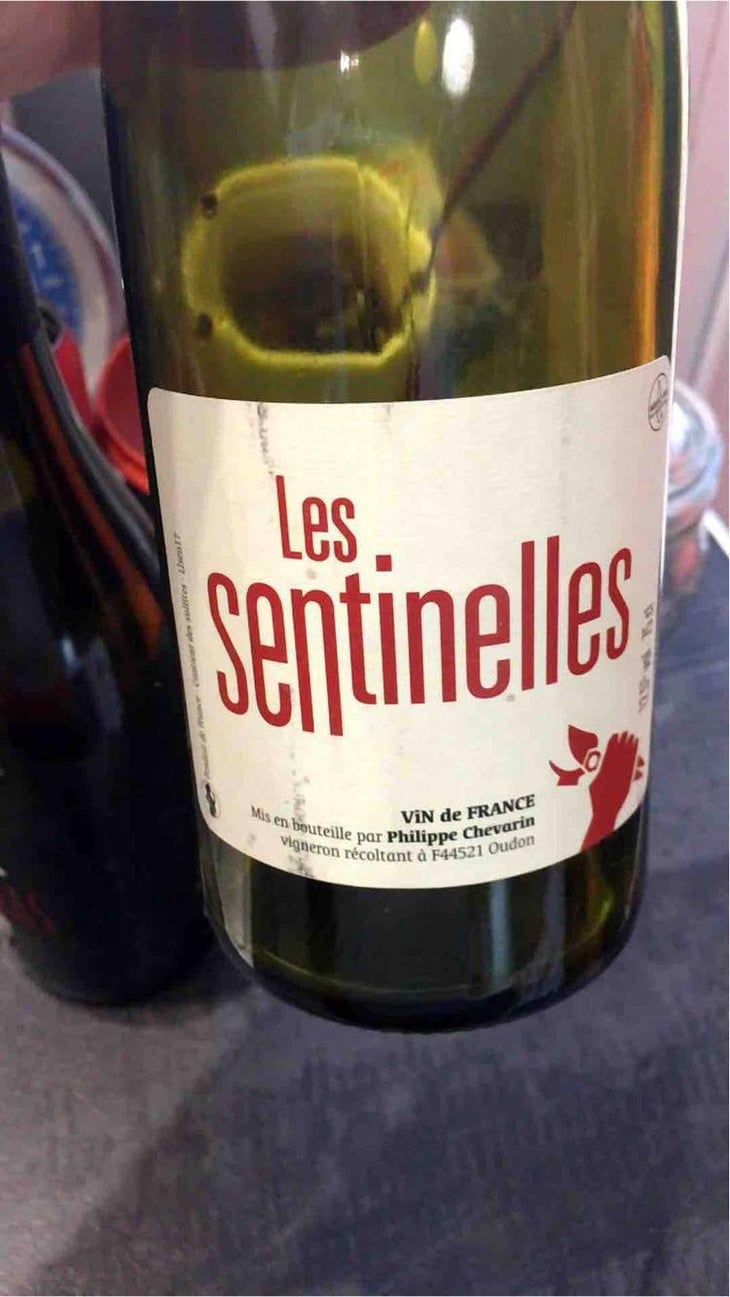 Les Sentinelles - Philippe Chevarin - Philippe Chevarin 
