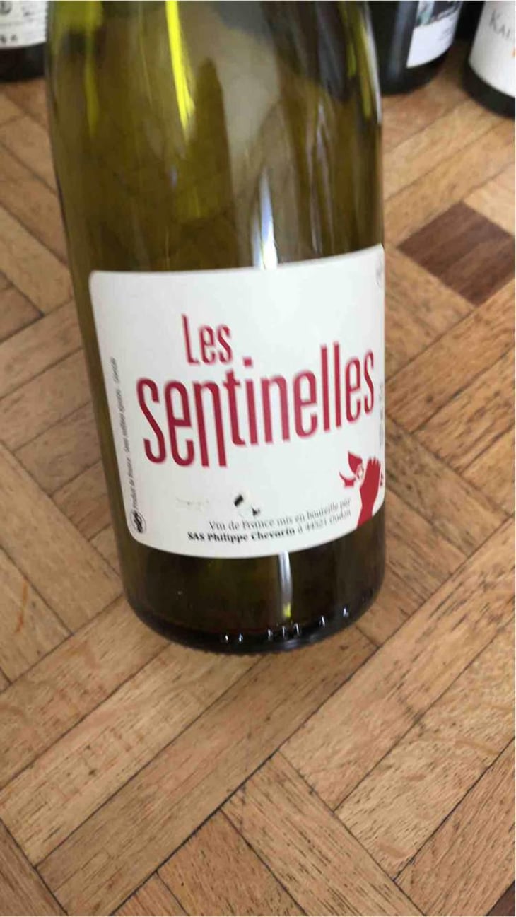 Les Sentinelles - Philippe Chevarin - Philippe Chevarin 