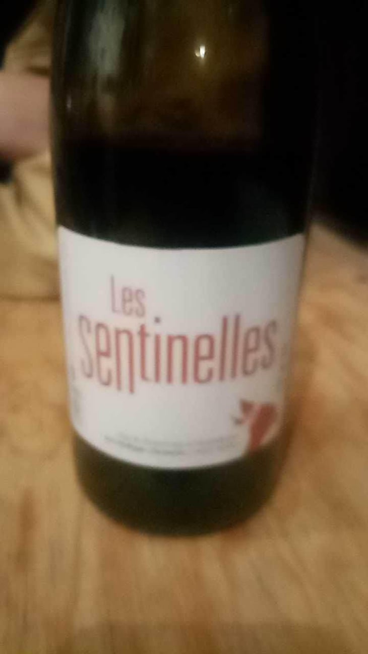 Les Sentinelles - Philippe Chevarin - Philippe Chevarin 