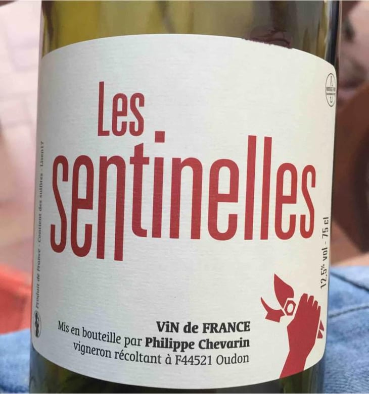 Les Sentinelles - Philippe Chevarin - Philippe Chevarin 