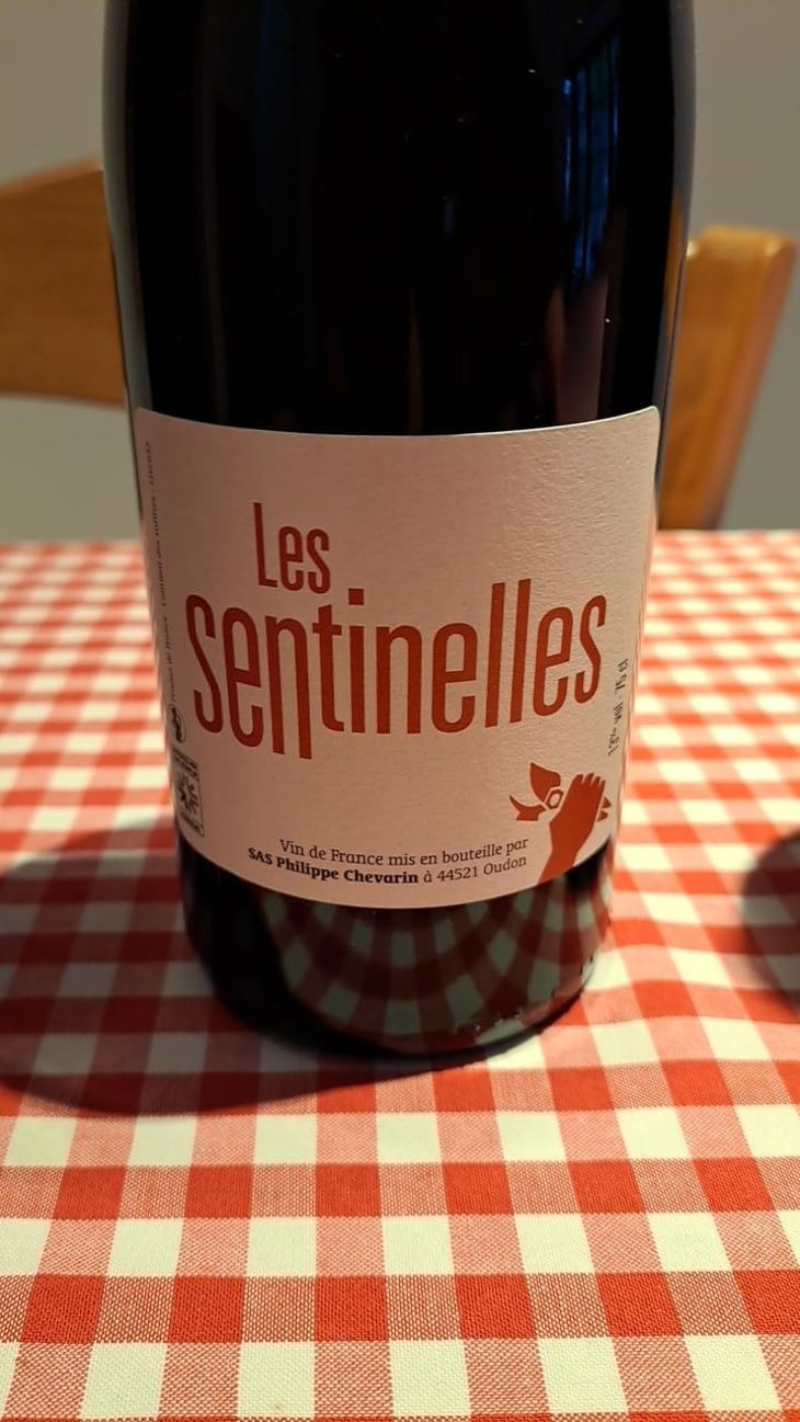 Les Sentinelles - Philippe Chevarin - Philippe Chevarin 