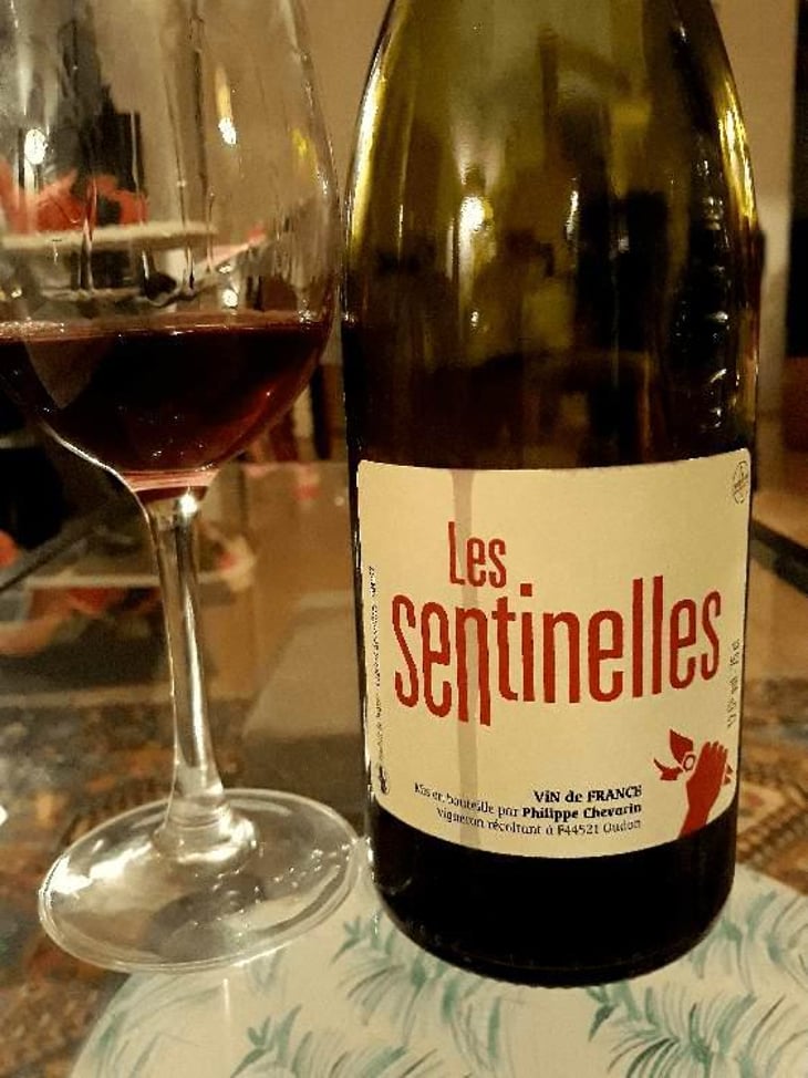 Les Sentinelles - Philippe Chevarin - Philippe Chevarin 