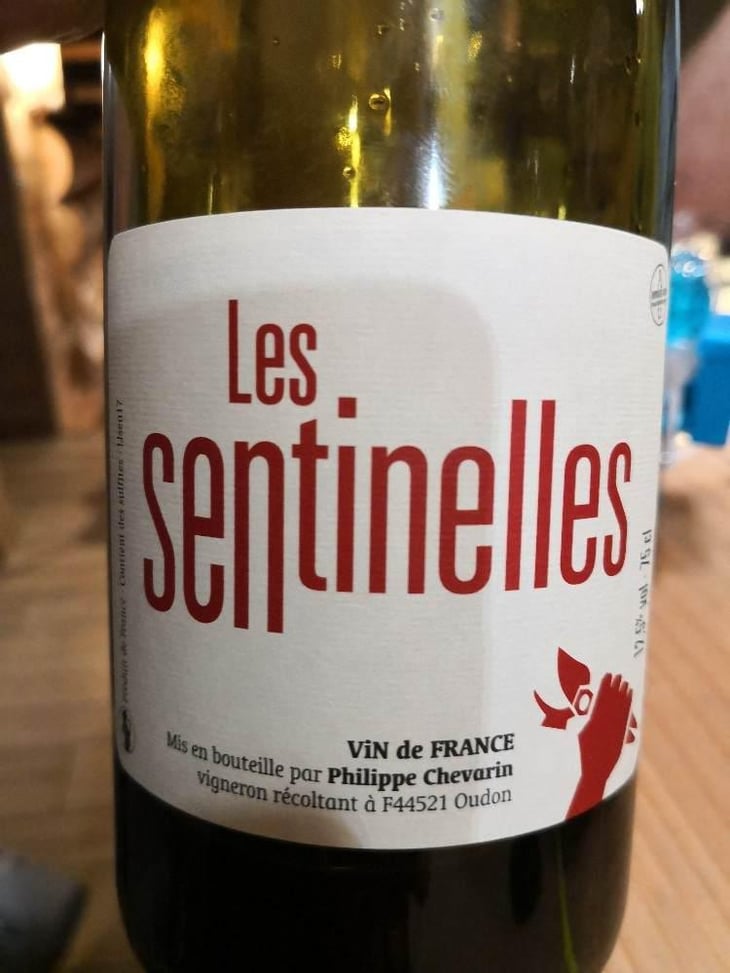 Les Sentinelles - Philippe Chevarin - Philippe Chevarin 