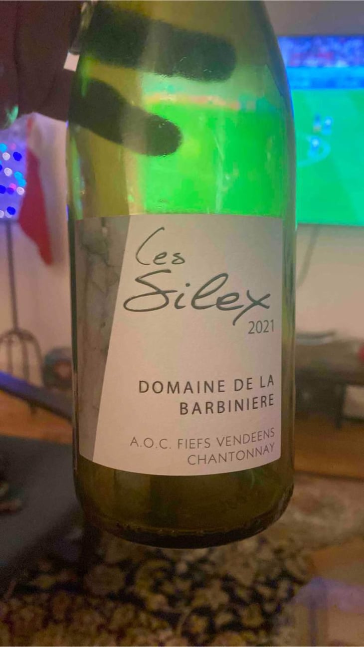 Silex - Domaine De La Barbinière - Famille Orion 