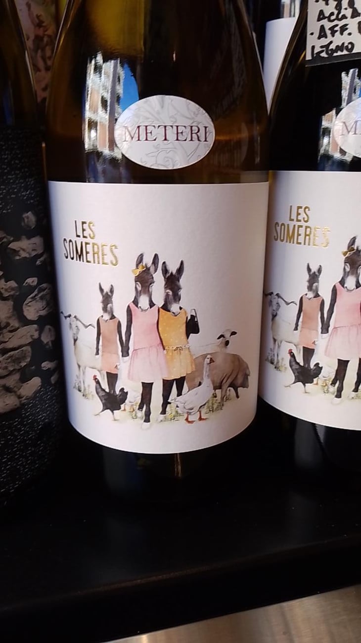 les someres - Clos dels Guarans - Jordi Raventos -2021