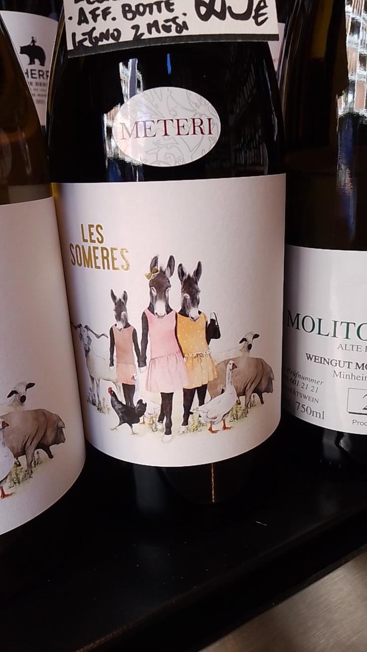 les someres negre - Clos dels Guarans - Jordi Raventos 