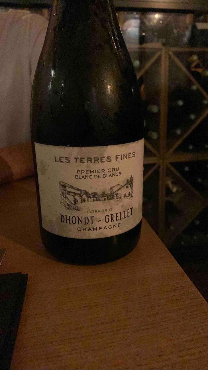 Les Terres Fines 1er Cru - Blanc de Blancs - Domaine Dhondt-Grellet - Adrien Dhondt 