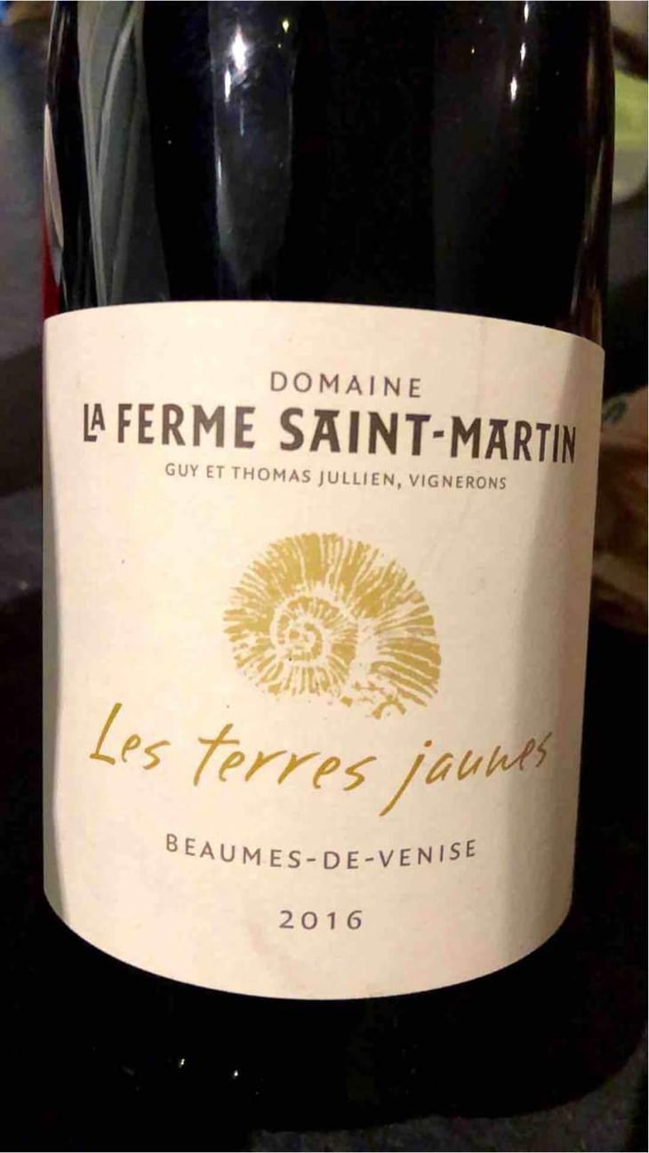 Les Terres Jaunes - La Ferme Saint-Martin - Les Vins de Thomas - Sophie & Thomas Jullien 