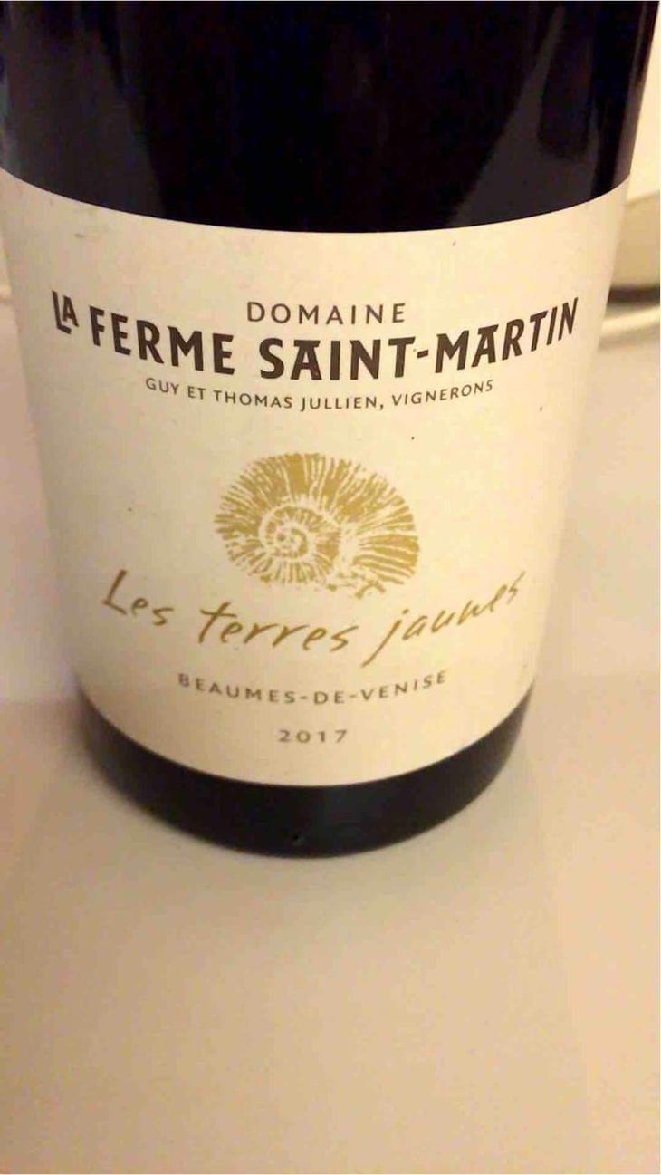 Les Terres Jaunes - La Ferme Saint-Martin - Les Vins de Thomas - Sophie & Thomas Jullien 