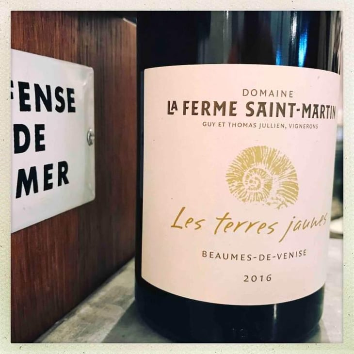 Les Terres Jaunes - La Ferme Saint-Martin - Les Vins de Thomas - Sophie & Thomas Jullien 
