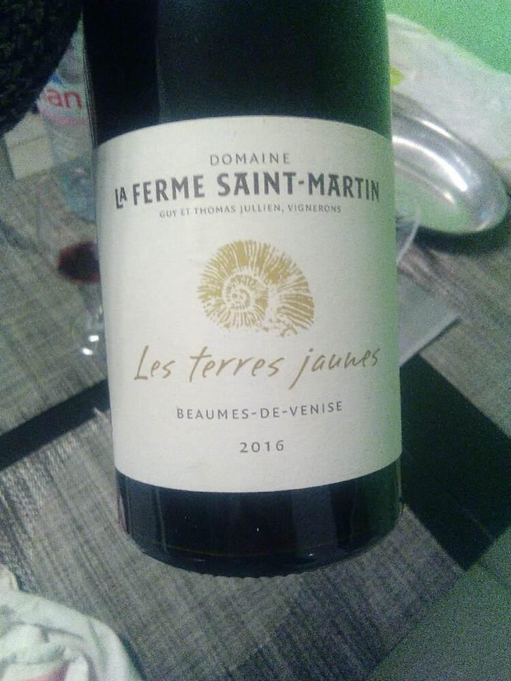 Les Terres Jaunes - La Ferme Saint-Martin - Les Vins de Thomas - Sophie & Thomas Jullien 